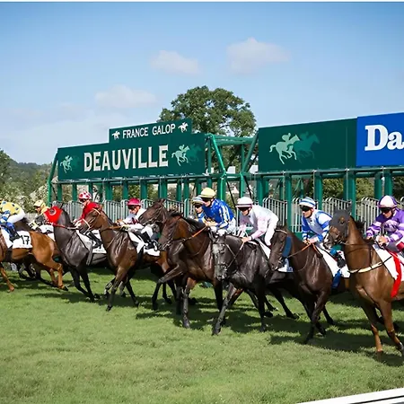 Superbe 2 à 4 Pers, Bord De Mer, Casino Et Centre Deauville